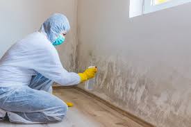 Mold Remediation for Vacation Homes in Wilder, KY