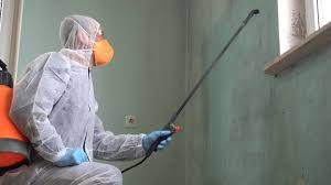 Reliable Wilder, KY Mold Removal & Remediation Solutions