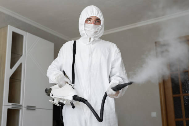 Mold Odor Removal Services in Wilder, KY