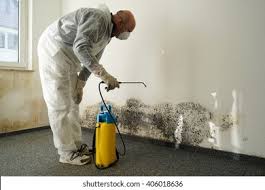  Wilder, KY Mold Removal & Remediation Pros